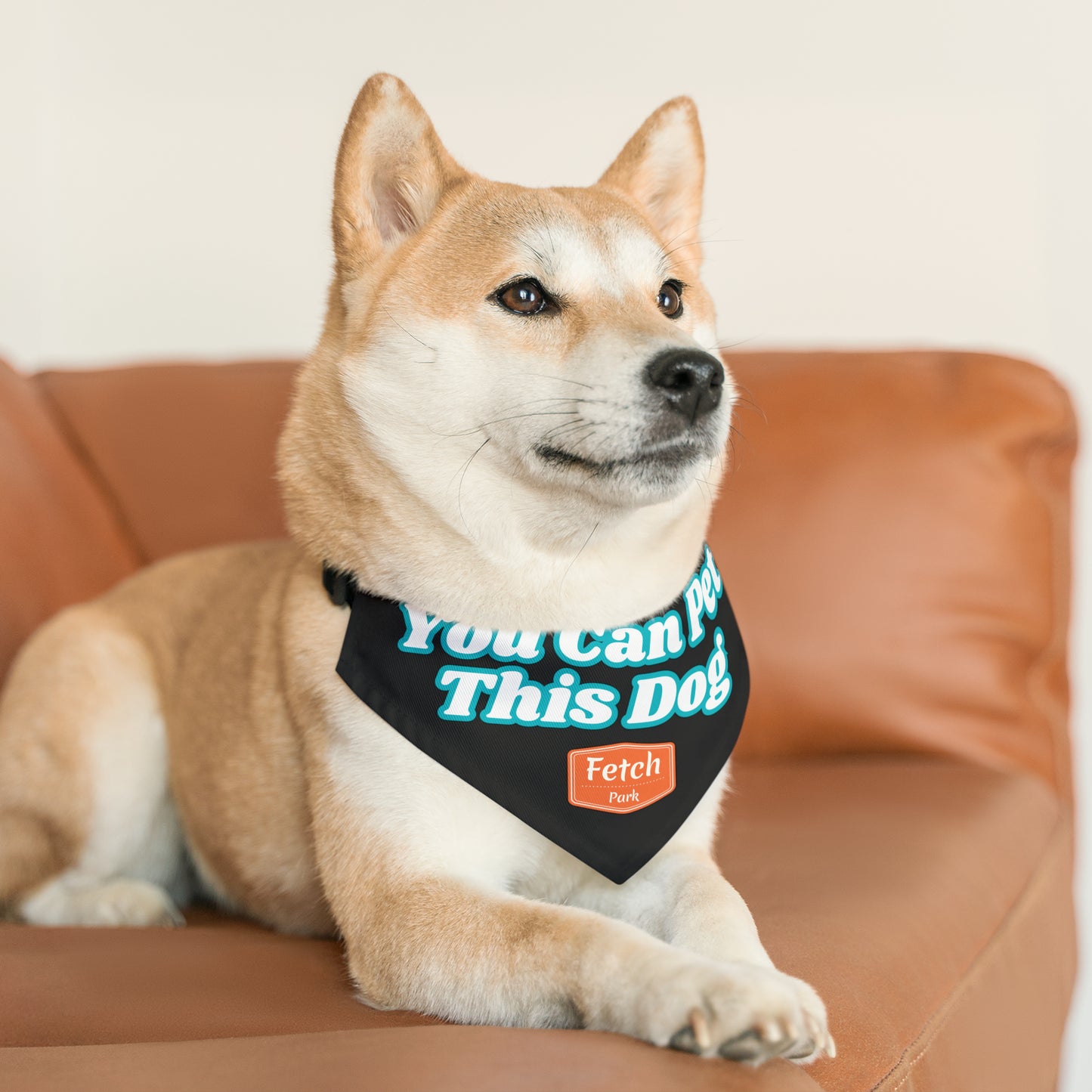 Medium You Can Pet This Dog Bandana Collar