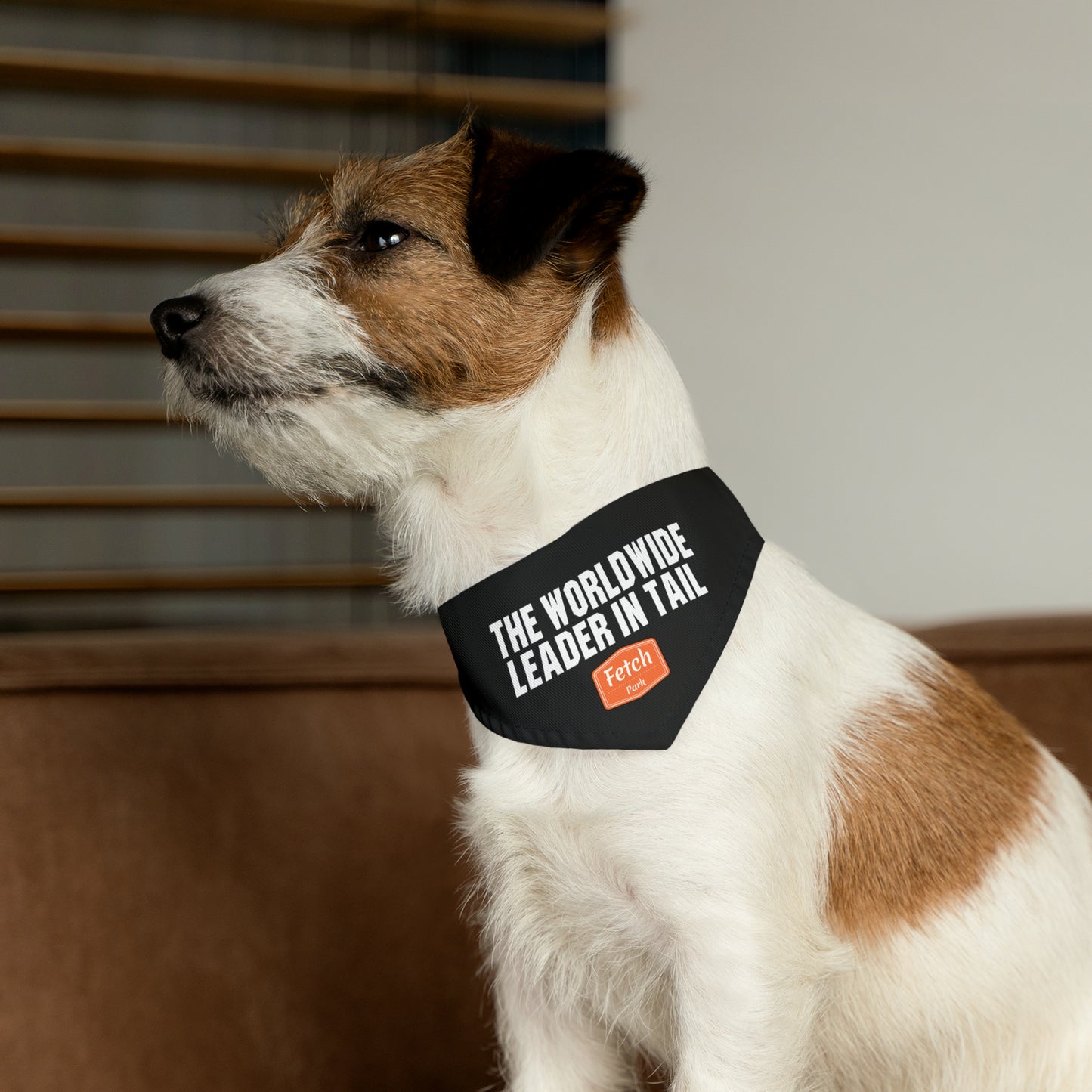 Small The Worldwide Leader in Tail Pet Bandana Collar Basic Font