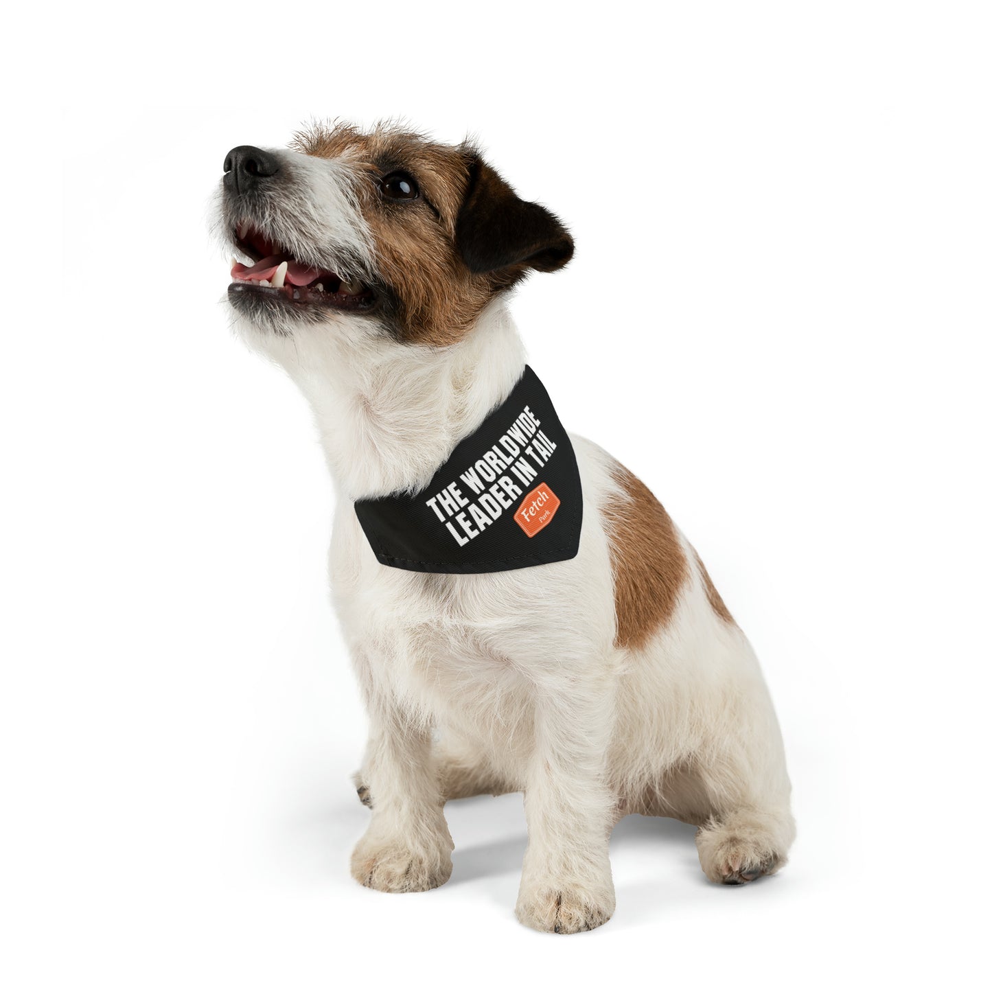 Small The Worldwide Leader in Tail Pet Bandana Collar Basic Font
